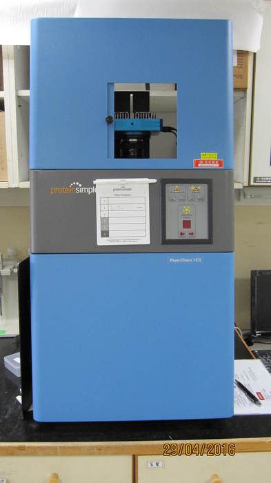 FluorChem HD2 system